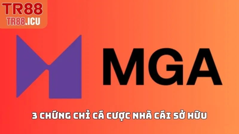 Giấy phép hoạt động có ý nghĩa ra sao trong cá cược