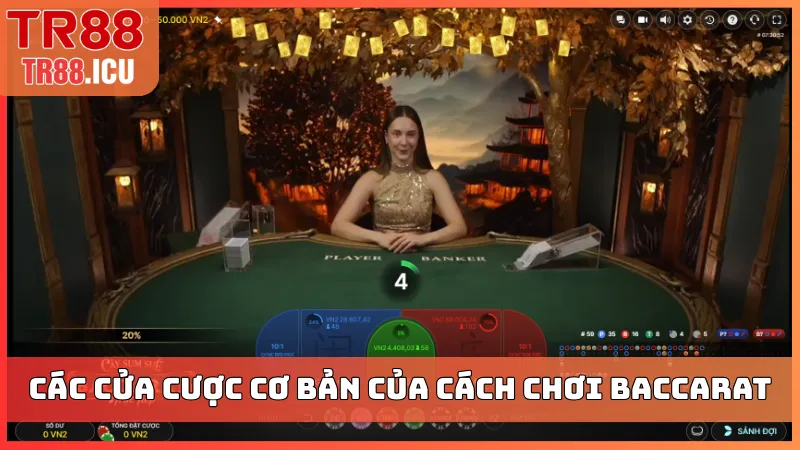 Các cửa cược cơ bản của cách chơi Baccarat