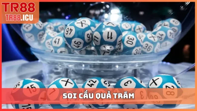 soi cầu quả trám